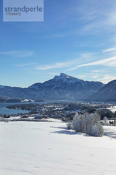 Blick ins verschneite Mondseeland mit Schafberg  Mondsee  Salzkammergut  Oberösterreich  Österreich  Europa