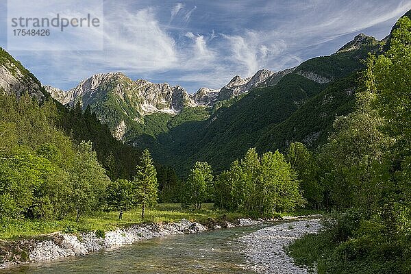 Fluss Lepenjica  Bovec  Triglav Nationalpark  Slowenien  Europa