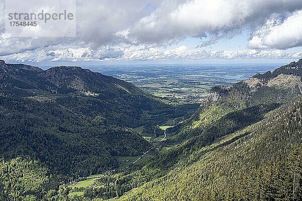 Blick ins Tal bei Sachrang  Wanderung zum Geigelstein im Frühling  Chiemgauer Alpen  Bayern  Deutschland  Europa