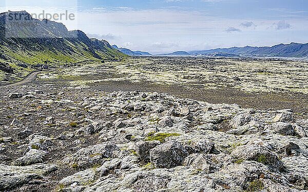 Mit Moos bewachsene Landschaft  isländisches Hochland  Luftaufnahme  Reykjanes Halbinsel  Island  Europa