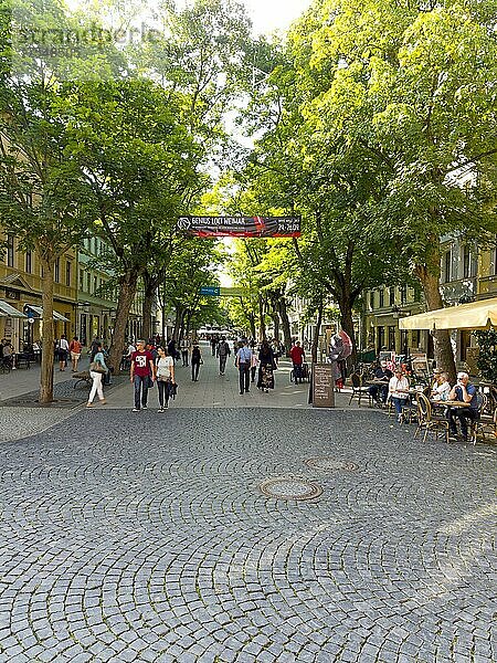 Fußgängerzone mit Alleebäumen  Weimar  Thüringen  Deutschland  Europa