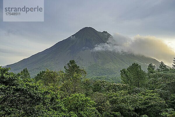 Blick zum Arenal Vulkan bei Sonnenaufgang  Arenal Observatory Lodge  Fortuna  Provinz Alajuela  Costa Rica  Mittelamerika