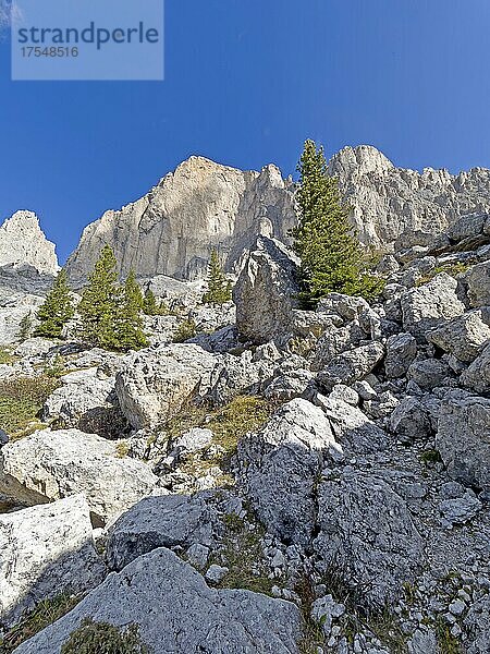 Berglandschaft  Rosengarten  Dolomiten  Trentino  Südtirol  Italien  Europa