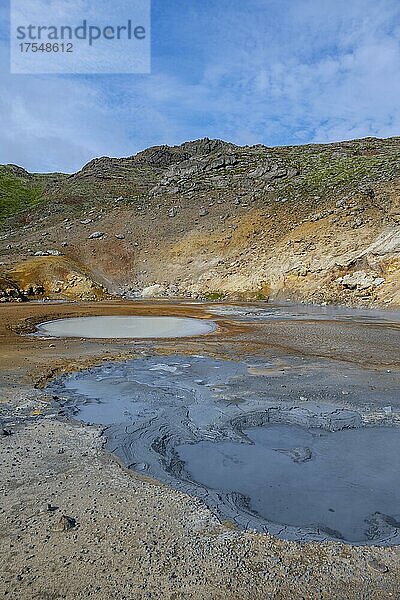 Geothermalgebiet Seltún  mineralische Ablagerungen  Vulkansystem Krysuvik  Island  Europa