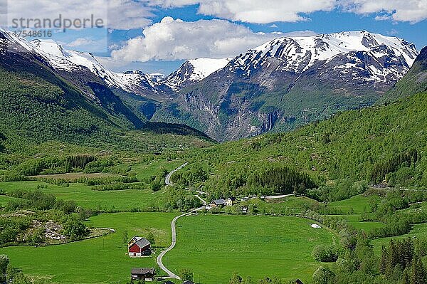 Almwiesen in weiter Landschaft und verschneite Berge  Straße nach Geiranger  Norwegen  Europa