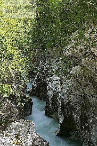 So?a Canyon  Soca-Tal  Bovec  Triglav Nationalpark  Slowenien  Europa