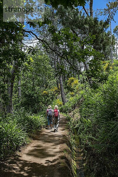 Zwei Frauen auf dem Levada-Wanderweg von Camacha zum Botanischen Garten in Funchal auf Madeira  Portugal  Europa
