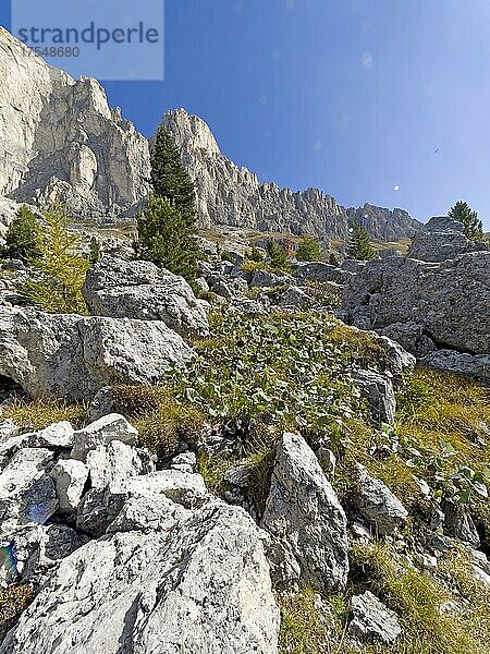 Berglandschaft  Rosengarten  Dolomiten  Trentino  Südtirol  Italien  Europa