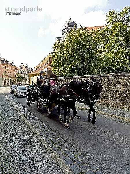 Pferdekutsche in der Altstadt von Weimar  Altstadt  Thüringen  Deutschland  Europa
