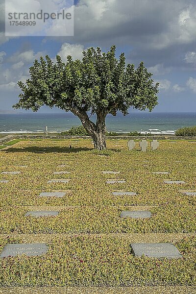 Deutscher Soldatenfriedhof  Maleme  Kreta  Griechenland  Europa