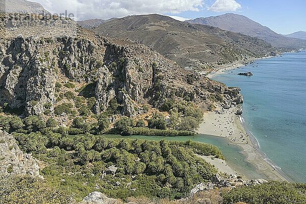 Südküste  Sandstrand  Bach  Palmen  Preveli  Kreta  Griechenland  Europa