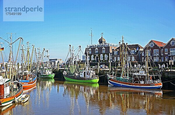 Fischkutterhafen  Neuharlingersiel  Ostfriesland  Niedersachsen  Deutschland  Europa