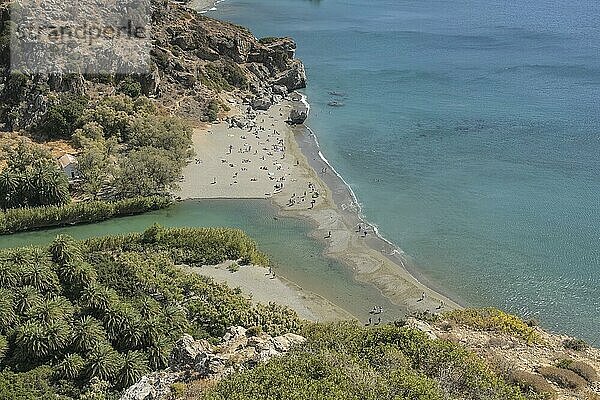 Südküste  Sandstrand  Bach  Palmen  Preveli  Kreta  Griechenland  Europa