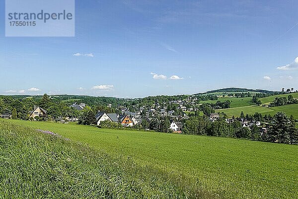 Stadtpanorama  Seiffen  Sachsen  Deutschland  Europa