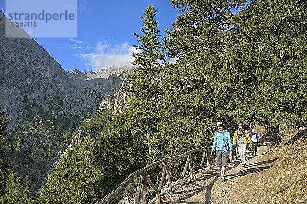 Wanderweg obere Etappe  Samaria Schlucht  Kreta  Griechenland  Europa