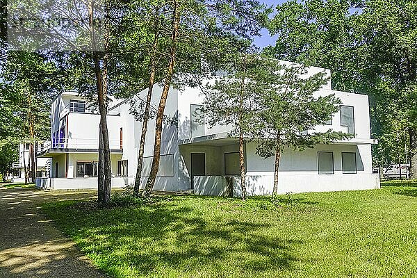 Haus Gropius  Meisterhaussiedlung  Ebertallee  Dessau  Sachsen-Anhalt  Deutschland  Europa