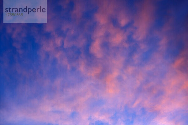 Rosa Cumulonimbus-Wolken vor blauem Sonnenuntergangshimmel