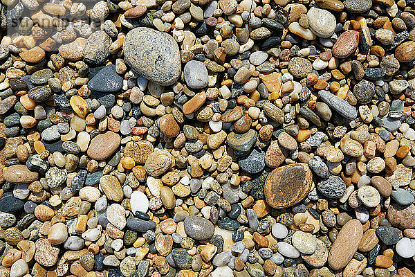 Blick von oben auf nasse Steine ??am Strand