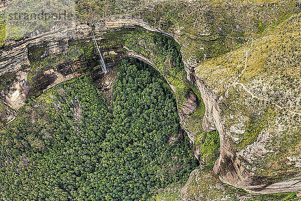 Australien  NSW  Blue Mountains National Park  Luftaufnahme des Waldes in der Schlucht