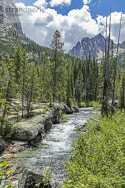 USA  Idaho  Stanley  rauschender Bach und Wald in den Sawtooth Mountains