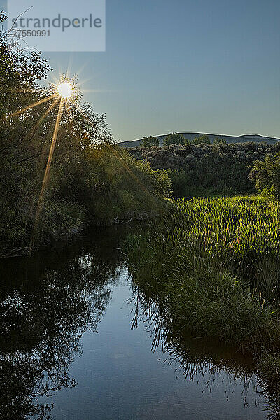USA  Idaho  Bellevue  Morgensonne über Spring Creek in der Nähe von Sun Valley