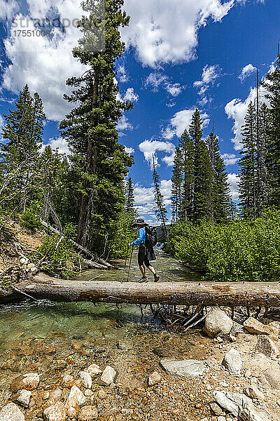 USA  Idaho  Stanley  Wanderin  die in der Nähe von Sun Valley über einen umgestürzten Baum über einen Bach läuft