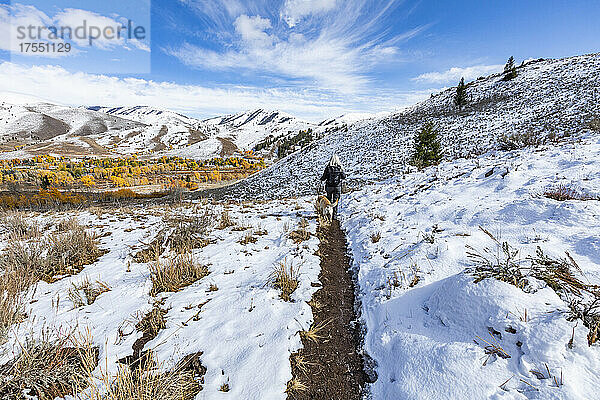 USA  Idaho  Ketchum  Wanderer mit goldenem Labrador auf verschneiten Pfaden in der Nähe von Sun Valley