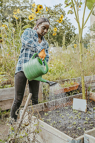 Junge Freiwillige beim Gießen von Pflanzen in einer städtischen Farm