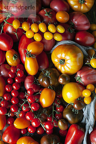 Frische Tomaten (Bildfüllend)