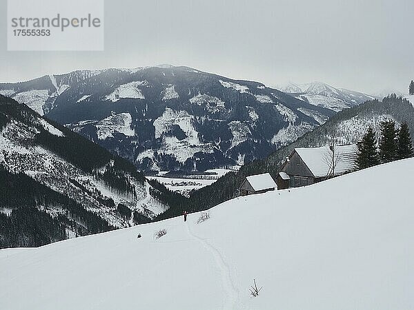 Winterlandschaft  Ardningalm  Ennstal  Steiermark  Österreich  Europa