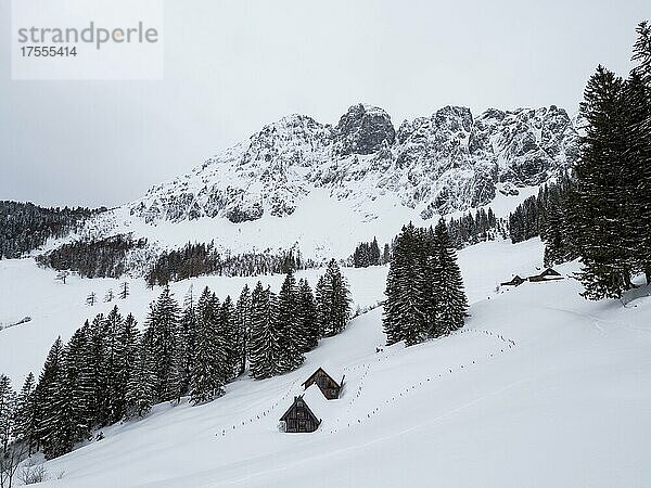 Winterlandschaft mit Almhütten vor verschneitem Bosruckmassiv  Ardningalm  Ennstal  Steiermark  Österreich  Europa