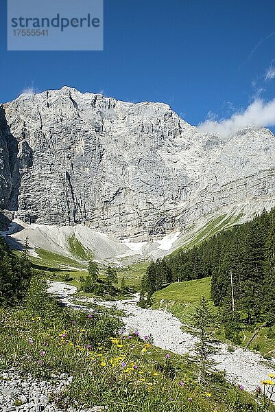 Almgebiet Enger Grund mit ausgetrocknetem Bachbett des Rissbach  dahinter Grubenkarspitze  Karwendel-Gebirge  Tirol  Österreich  Europa