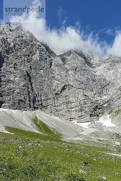 Almgebiet Enger Grund mit Kühen  Karwendel-Gebirge  Tirol  Österreich  Europa
