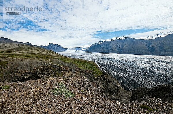 Skaftafellsjökull  Gletscherzunge des Vatnajökull  Skaftafell-Nationalpark  Island  Europa