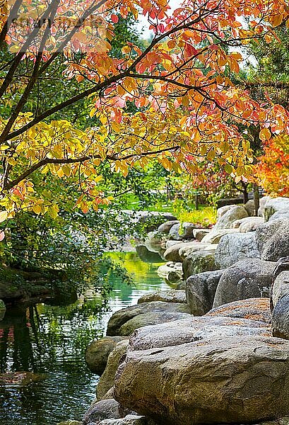 Herbstliche Landschaft in einem kleinen Park  Berlin  Deutschland  Europa