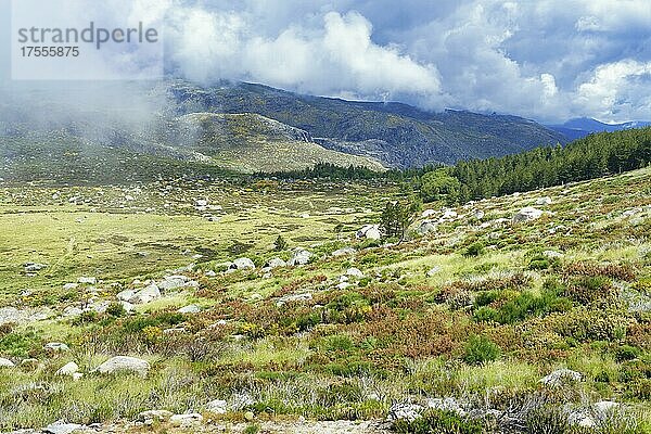 Berglandschaft  Serra da Estrela  Portugal  Europa