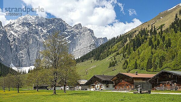 Almdorf Eng vor Grubenkarspitze  Karwendel-Gebirge  Hinterriss  Tirol  Österreich  Europa