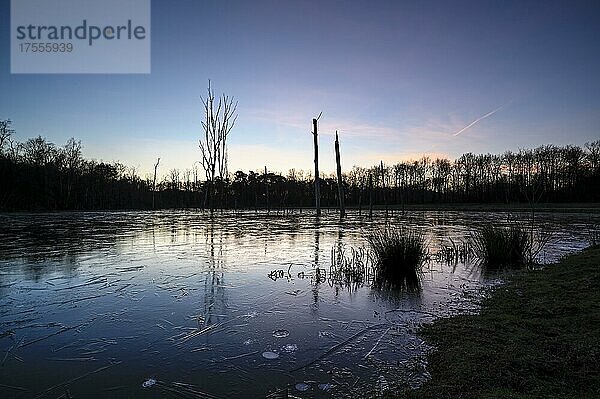 Bergsenkungsgebiet  bei Frost  Sonnenaufgang  Bottrop  Ruhrgebiet  Nordrhein-Westfalen  Deutschland  Europa