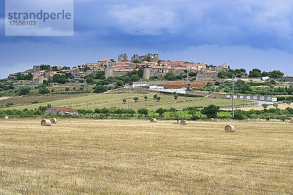 Getreidefelder in der Nähe des Dorfes Castelo Rodrigo  Serra da Estrela  Beira Alta  Portugal  Europa