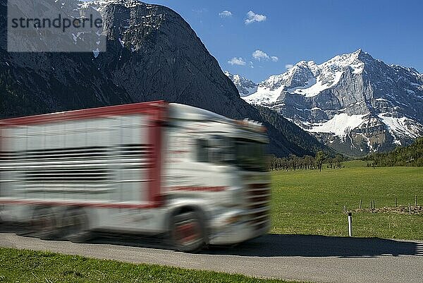 Viehtransporter vor Großem Ahornboden und Spritzkarspitze  Hinterriss  Tirol  Österreich  Europa
