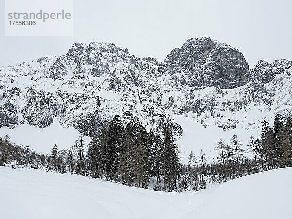 Winterlandschaft  verschneite Gipfel vom Bosruck-Massiv  Ardningalm  Ennstal  Steiermark  Österreich  Europa