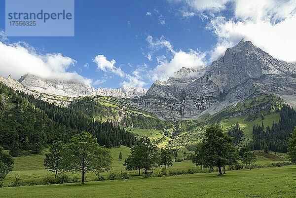 Gebirgslandschaft mit Ahornbäumen im Almgebiet Eng vor Spritzkarspitze  Karwendel-Gebirge  Tirol  Österreich  Europa