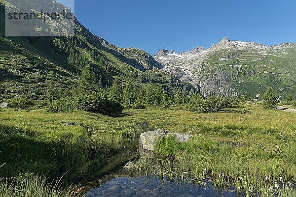 Landschaft des Rhonetals beim Weiler Gletsch  im Hintergrund das Bergmassiv des Rhonegletschers  Oberwald  Wallis  Schweiz  Europa