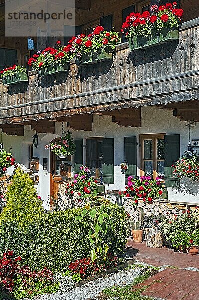 Zum Wohnhaus umgebauter Bauernhof mit Blumenschmuck in Wegscheid bei Lenggries  Bayern  Deutschland  Europa