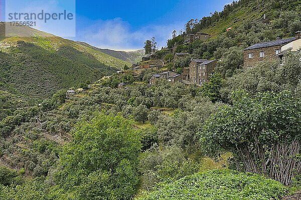 Blick auf das mittelalterliche Bergdorf Piodao aus Schiefer  Serra da Estrela  Beira Alta  Portugal  Europa