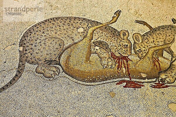 Mosaik Museum  Jaguare bei der Beute  Istanbul  Türkei  Asien