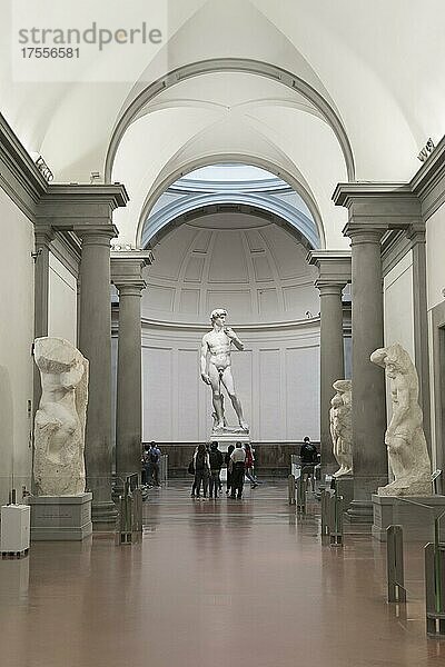 David-Statue von Michelangelo  Galerie Accademia  Florenz  Italien  Europa