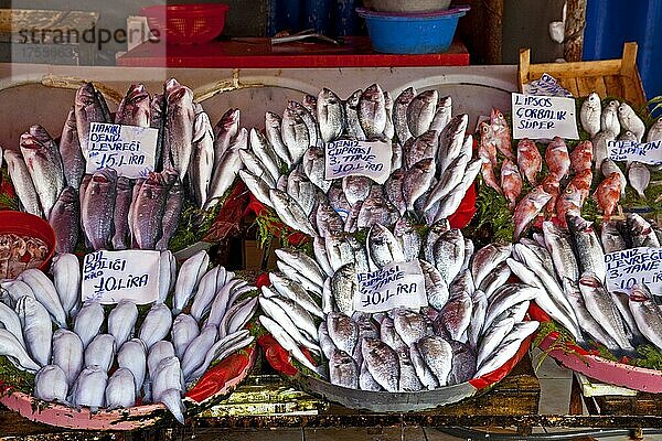 Fischmarkt im Stadtteil Karaköy  Istanbul  Türkei  Asien