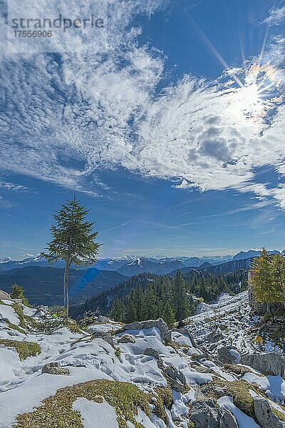 Alpenpanorama  Wanderweg zur Kampenwand  Aschau  Chiemgau  Chiemgauer Alpen  Bayern  Deutschland  Europa