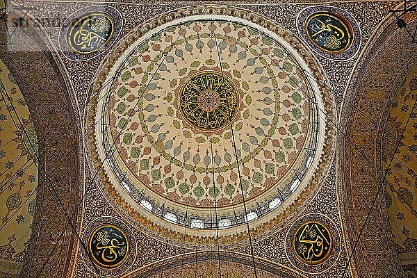 Mehrfachkuppeln der Neue-Moschee  Yeni Camii  Istanbul  Türkei  Asien
